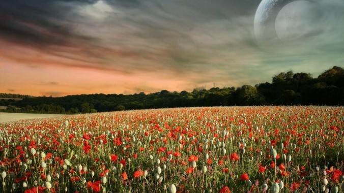 如何评价电视剧《长安的荔枝》27-28集？